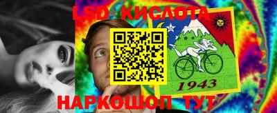 PSILOCYBIN Кинель