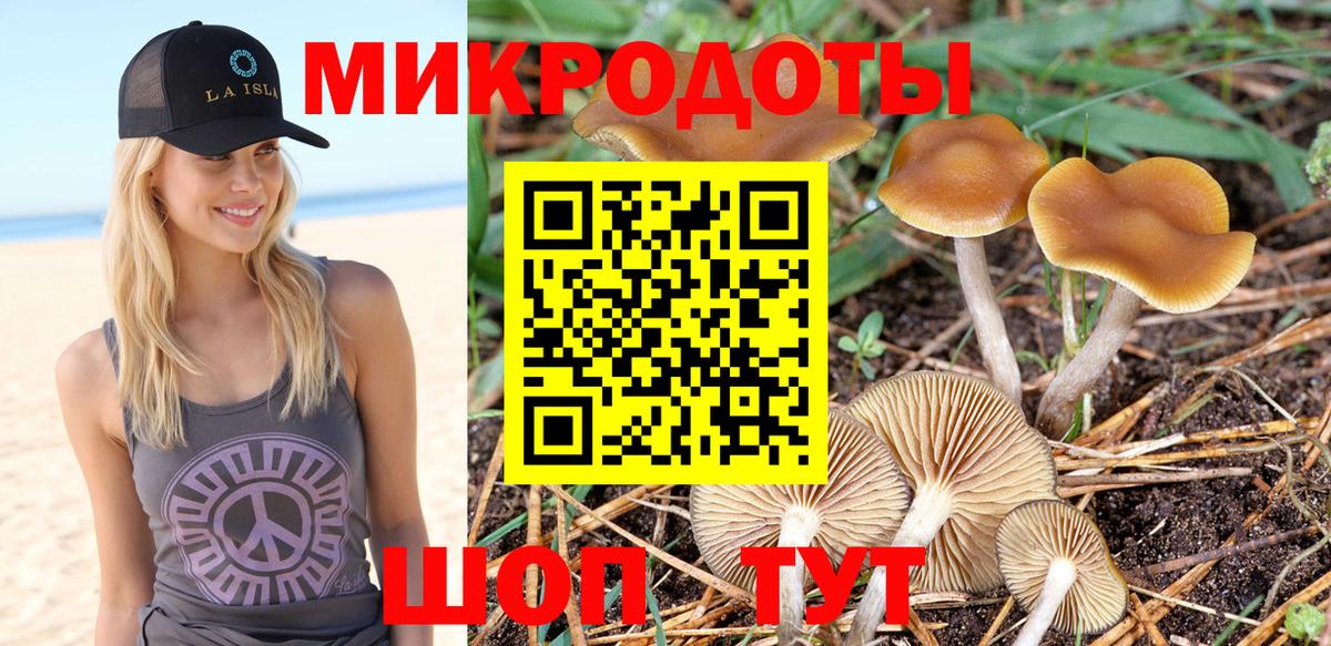 Псилоцибиновые грибы Psilocybe  Вход с VPN  Шебекино 