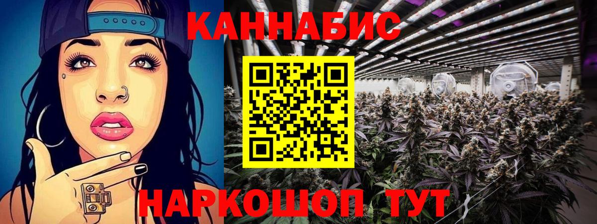 Конопля семена Шебекино